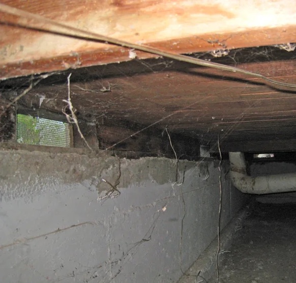 Crawlspace Mold Remediation in Centerville, UT