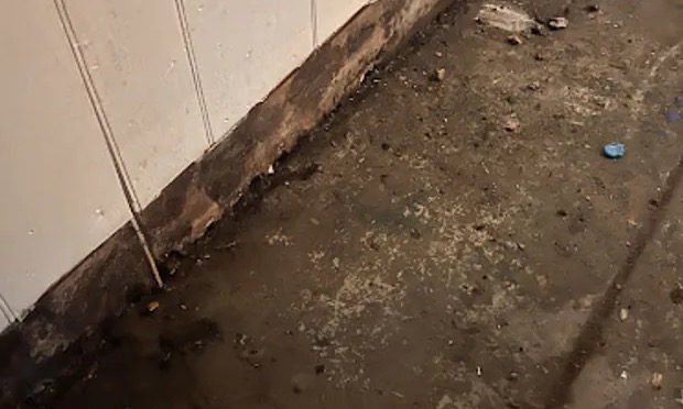 Biohazard Cleanup in Sandy, UT