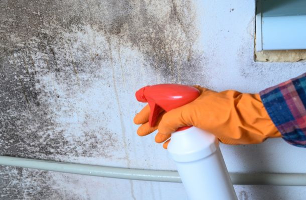 Mold Remediation Sandy, Utah