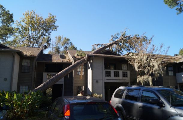 Storm Damage Restoration Sandy, Utah